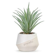 Load image into Gallery viewer, Mini Succulent