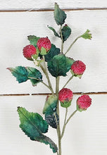 Load image into Gallery viewer, 21-inch Raspberry spray-burgundy green