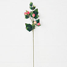 Load image into Gallery viewer, 22" Raspberry spray- Mauve Cream