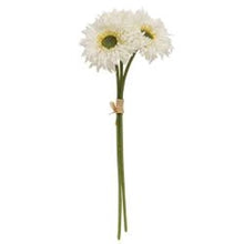 Load image into Gallery viewer, Triple Gerbera Daisy Bouquet, White