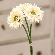 Load image into Gallery viewer, Triple Gerbera Daisy Bouquet, Cream Pink