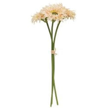 Load image into Gallery viewer, Triple Gerbera Daisy Bouquet, Cream Pink
