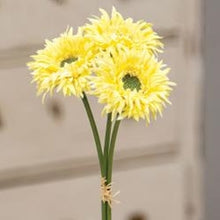 Load image into Gallery viewer, Triple Gerbera Daisy Bouquet, Light Yellow
