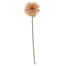 Load image into Gallery viewer, Gerbera Daisy Stem, Peach