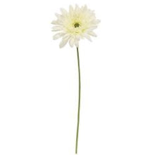 Load image into Gallery viewer, Blooming Daisy Stem, White