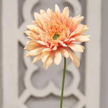 Load image into Gallery viewer, Blooming Daisy Stem, Dark Pink