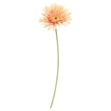 Load image into Gallery viewer, Blooming Daisy Stem, Dark Pink