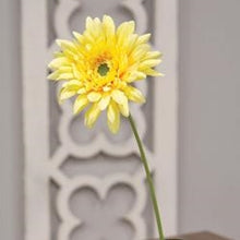 Load image into Gallery viewer, Blooming Daisy Stem, Dark Yellow
