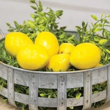 Load image into Gallery viewer, 8/pkg Mini Lemon Fillers