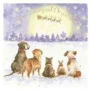 A Magical Christmas Single Card