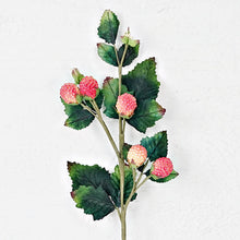 Load image into Gallery viewer, 22" Raspberry spray- Mauve Cream