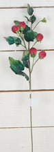Load image into Gallery viewer, 21-inch Raspberry spray-burgundy green