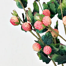 Load image into Gallery viewer, 22" Raspberry spray- Mauve Cream