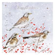 Winter Visitors Card