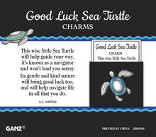 Load image into Gallery viewer, Good Luck Sea Turtle Pocket Charm