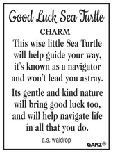 Load image into Gallery viewer, Good Luck Sea Turtle Pocket Charm