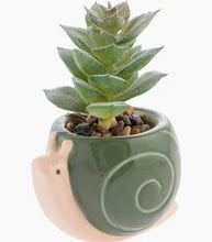 Load image into Gallery viewer, Shaped Succulent Pot