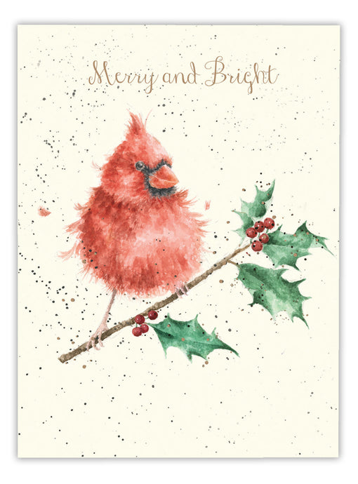 Cardinal Bird Card
