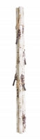 Load image into Gallery viewer, RECYCLE (19): Birch Branch Bundle (3)