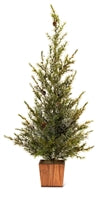 Load image into Gallery viewer, Potted Icy Pine Tree - Large