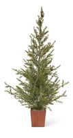 Load image into Gallery viewer, Potted Icy Pine Tree - Large