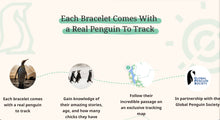 Load image into Gallery viewer, Penguin - Seafoam
