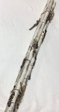 Load image into Gallery viewer, RECYCLE (19): Birch Branch Bundle (3)