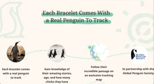 Load image into Gallery viewer, Penguin - Igloo Blue