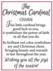 Christmas Cardinal Pocket Charm