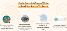 Load image into Gallery viewer, Sea Turtle - Lava Stone