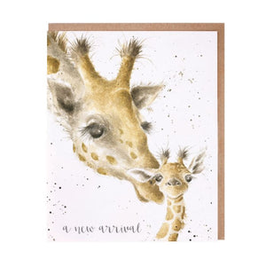 Greeting Cards