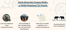 Load image into Gallery viewer, Elephant - River Blue