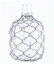 Load image into Gallery viewer, Glass and Wire Jug Vases