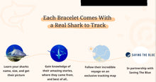 Load image into Gallery viewer, Shark - Lava Stone