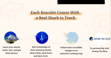 Load image into Gallery viewer, Shark - Ocelli Stone